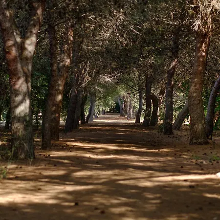 La Masseria - Maeva Vacansoleil 4* Gallipoli