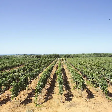 La Masseria - Maeva Vacansoleil 4* Gallipoli